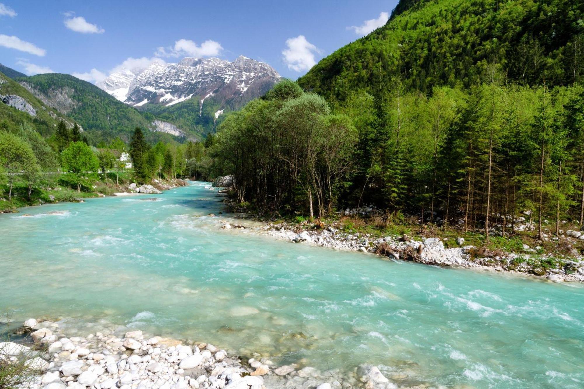 House By The Stream - Happy Rentals Avce المظهر الخارجي الصورة